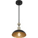 Biloxi 1 Light 23.88 inch Coal And Weathered Antique Brass Pendant Ceiling Light