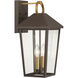 Bayra 2 Light 17 inch Painted Legacy Brass and Dark Bronze Outdoor Wall Lantern