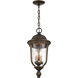 Havenwood 4 Light 12.13 inch Tavira Bronze And Alder Silver Outdoor Hanging Light, The Great Outdoors