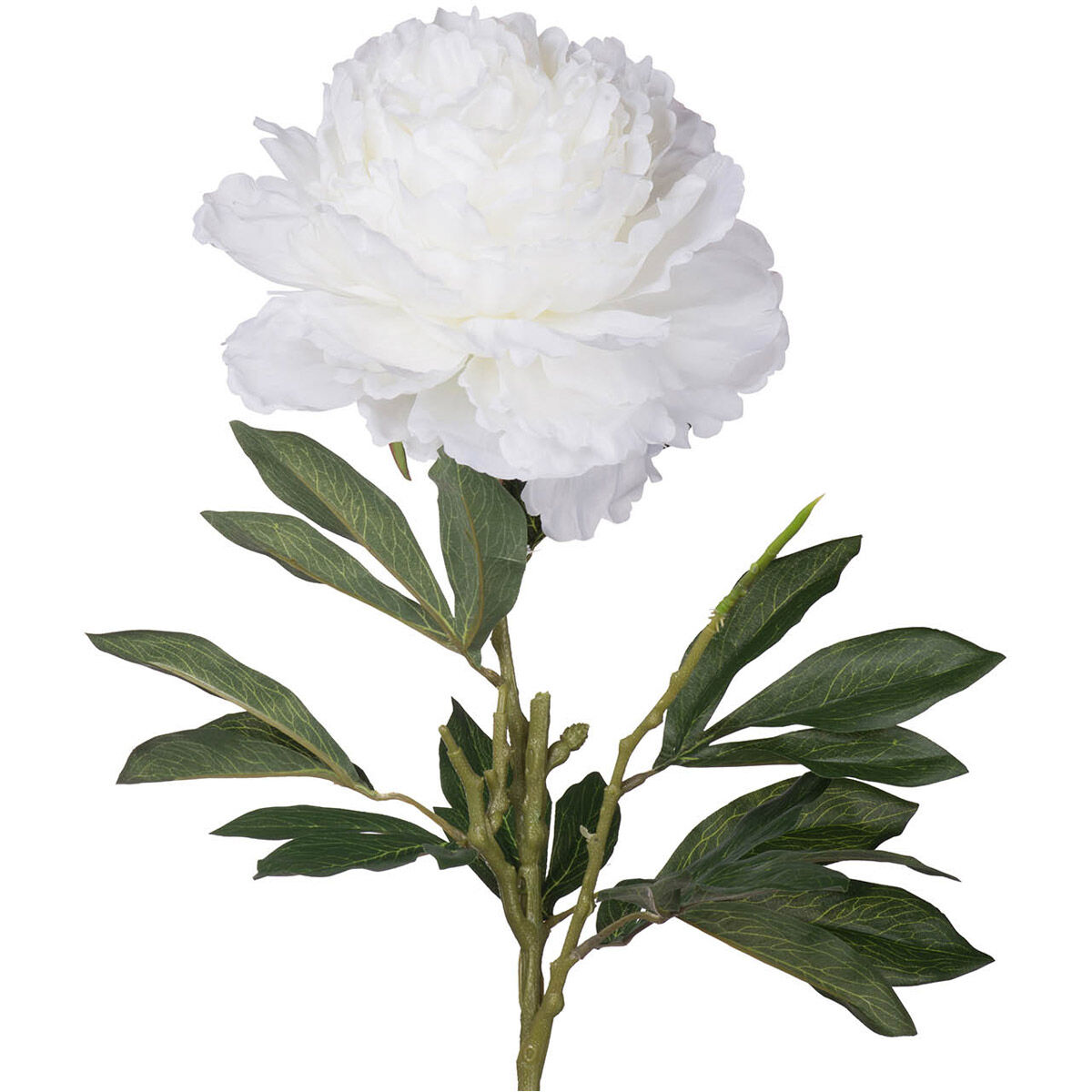 Faux Peony White Stems