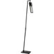 Norman 67 inch 60.00 watt Black Floor Lamp Portable Light