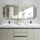 Caterina 72 X 30 inch Champagne Mirror