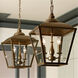 Homestead Dame 3 Light 13 inch Character Bronze Pendant Ceiling Light, Dame