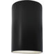 Ambiance Cylinder LED 9.5 inch Carbon Matte Black Outdoor Wall Sconce, Small