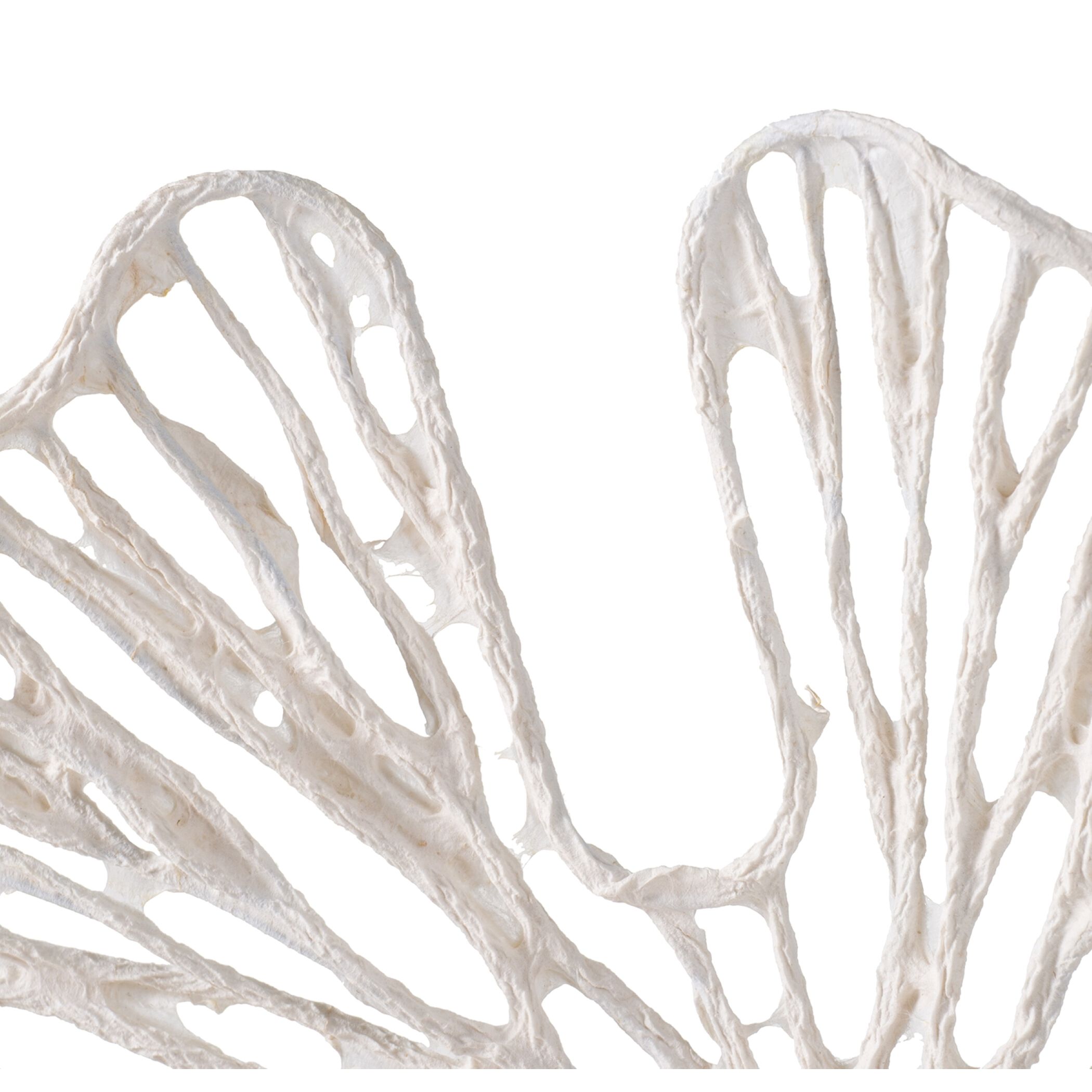 Anita White Wall Décor