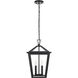 Frankford 2 Light 12 inch Black Outdoor Pendant
