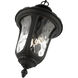 Oxford 3 Light 11 inch Textured Black Outdoor Pendant Lantern
