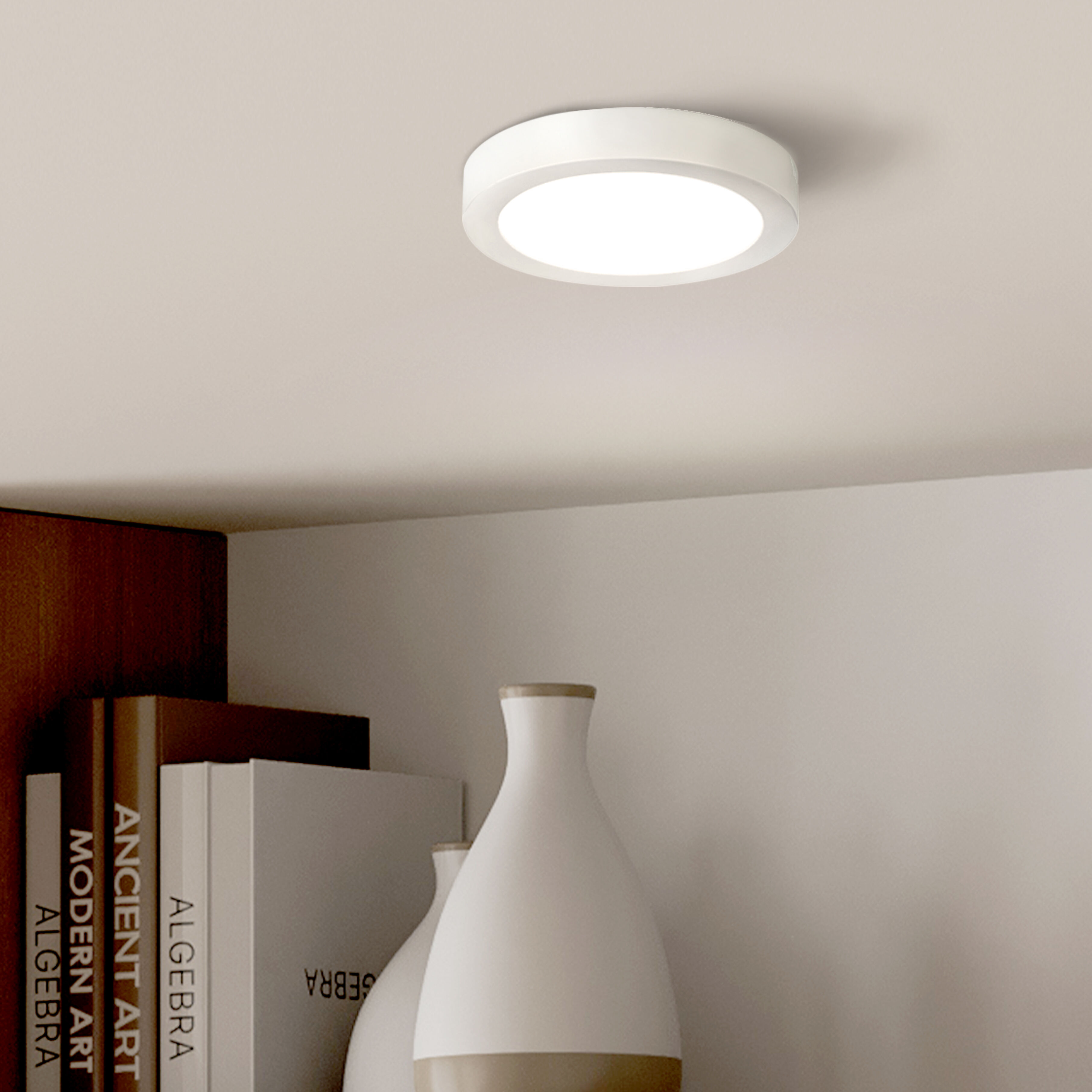 Madison LED 5.3 inch White Disc Light