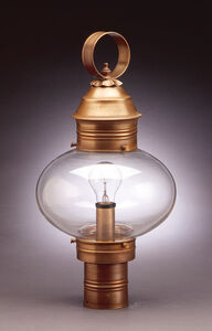 Cageless Onion 1 Light 20 inch Verdi Gris Post Lamp in Clear Glass