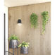 Edge EM 5.5 inch Black ADA Wall Sconce Wall Light