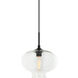 Irresistible Organic Charm 1 Light 11 inch Clear Pendant Ceiling Light