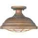 Bartlett 2 Light 14 inch Copper Patina Semi-flush Ceiling Light, Damp