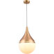 Canada 1 Light 12 inch Gold Single Pendant Lighting Ceiling Light