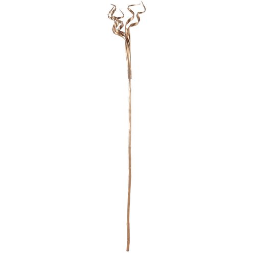Bamboo Stem Natural Object