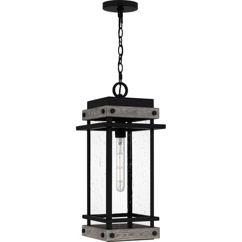 Strader 1 Light 9.5 inch Matte Black Outdoor Lantern, Large