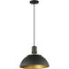 Dawn 1 Light 12 inch Antique Brass / Black Single Pendant Ceiling Light