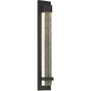 Tulane 1 Light 24 inch Black Outdoor Wall Mount