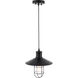 Flaneur 1 Light 11 inch Black Pendant Ceiling Light