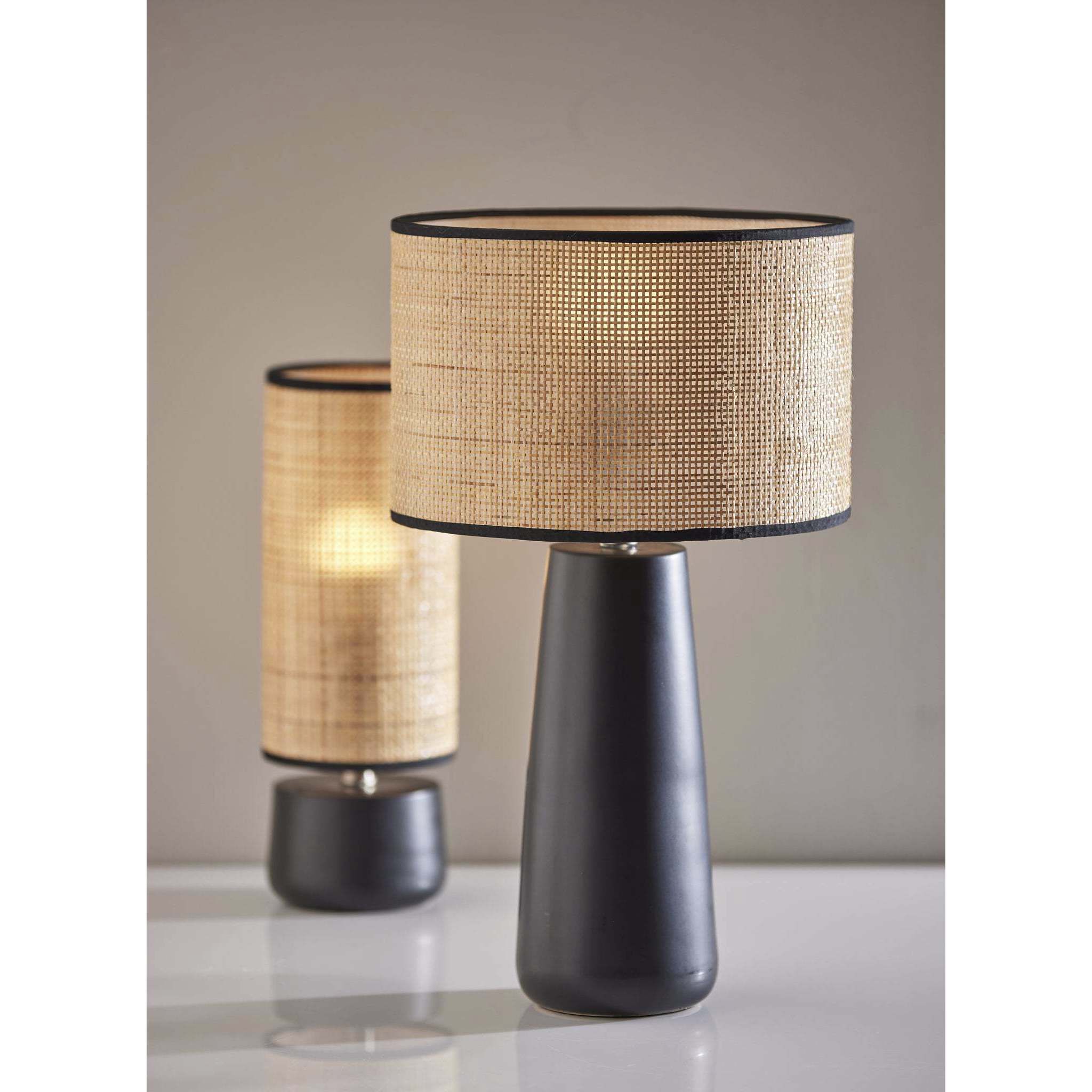 Sheffield 22 inch 100.00 watt Black Table Lamp Portable Light