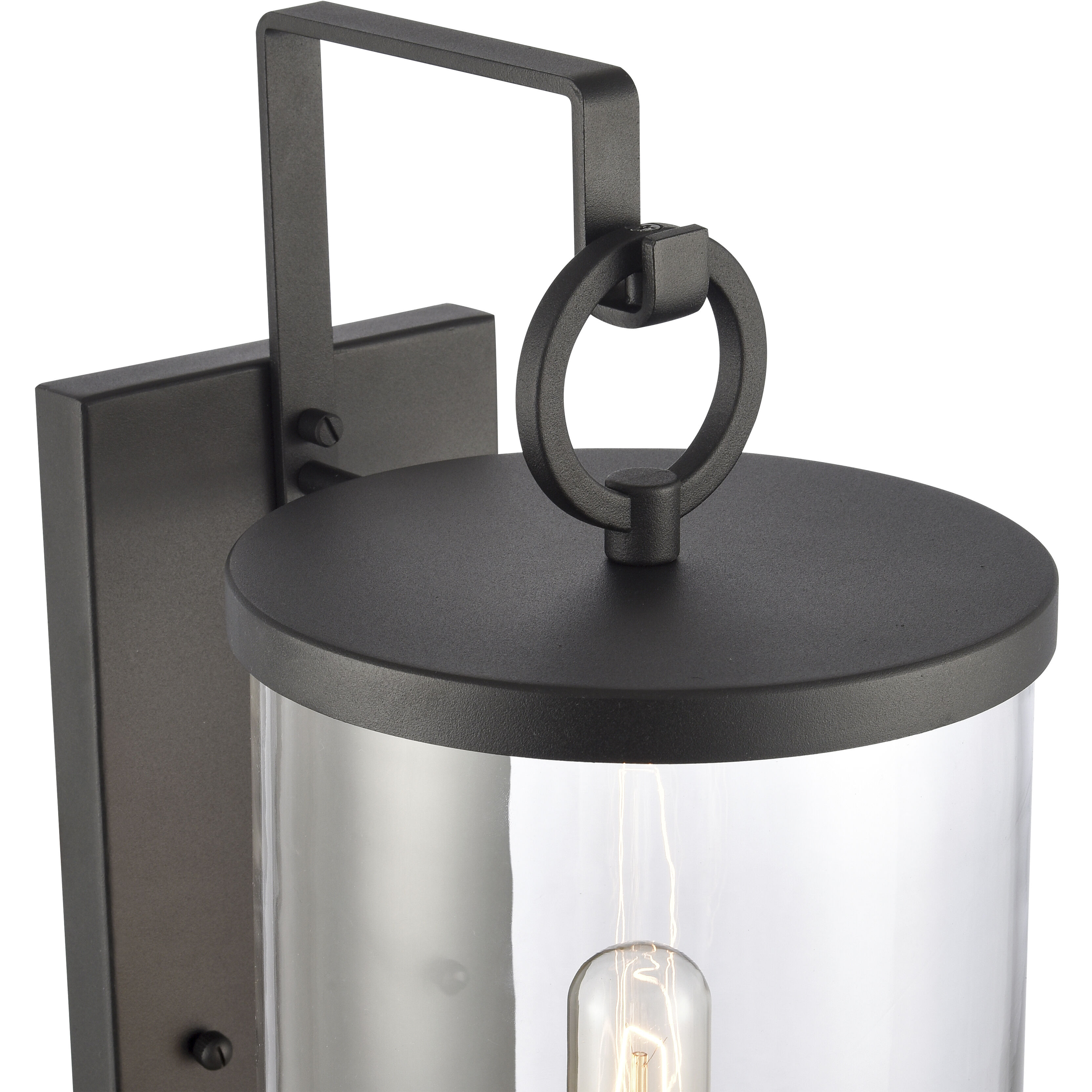 Hopkins 1 Light 20.5 inch Charcoal Outdoor Wall Sconce