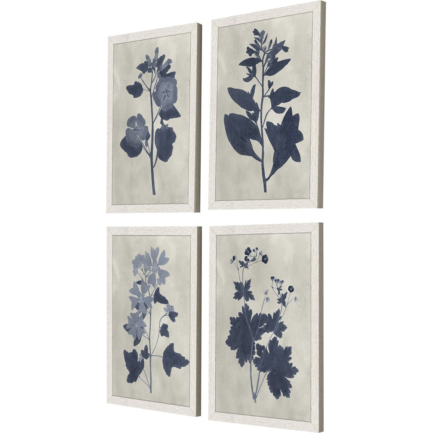 Pressed Flower Blue and White Framed Art, Propac