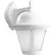 Westport LED 15 inch White Outdoor Wall Lantern in Integrated LED, Etched Seeded