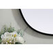 Brynn 36 X 20 inch Black Mirror in 20 x 36