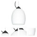 Lucia 1 Light Black Cord Pendant Ceiling Light