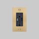 1G Duplex 125 Brass Outlet, USB A + C