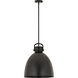 Newton Bell 1 Light 14 inch Matte Black Pendant Ceiling Light