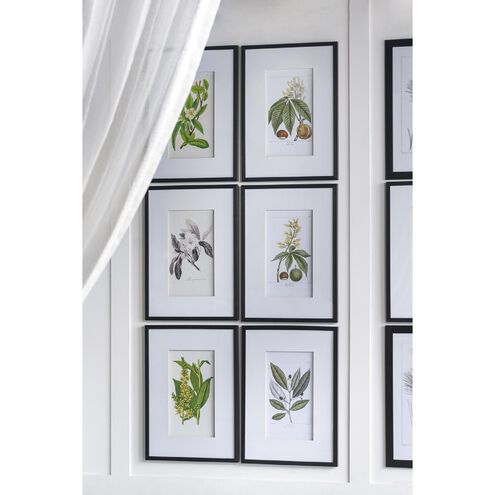 Smithsonian Black and Green/Yellow Wall Art, Assorted Fruit