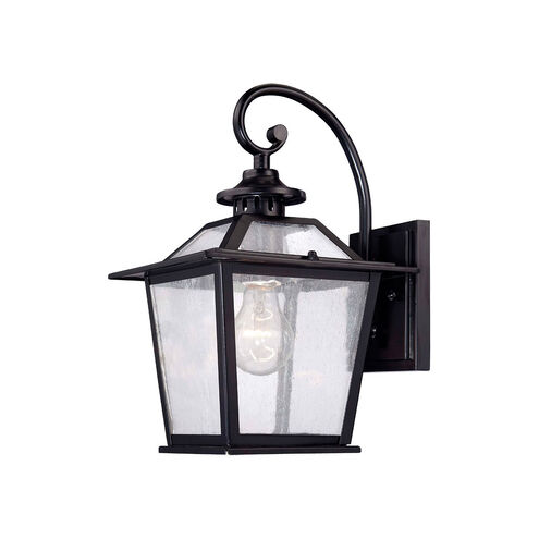 Salem 1 Light 13 inch Matte Black Exterior Wall Mount