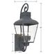 Dumont 3 Light 32.25 inch Graphite Outdoor Sconce