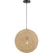 Entwined 1 Light 16 inch Coal Pendant Ceiling Light