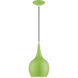 Andes 1 Light 7.75 inch Shiny Apple Green with Polished Chrome Accents Mini Pendant Ceiling Light