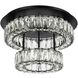 Monroe 2 Light 18 inch Black Flush Mount Ceiling Light 