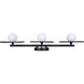 Payton 3 Light 28.5 inch Black Vanity Light Wall Light