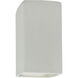 Ambiance Rectangle LED 13.5 inch Bisque Outdoor Wall Sconce, Large