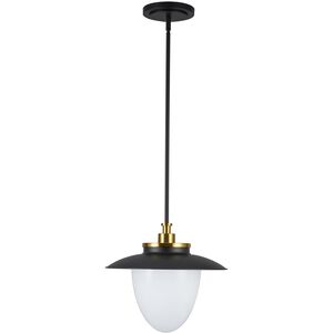 Dahlia 1 Light 15 inch Black and Brass Pendant Ceiling Light