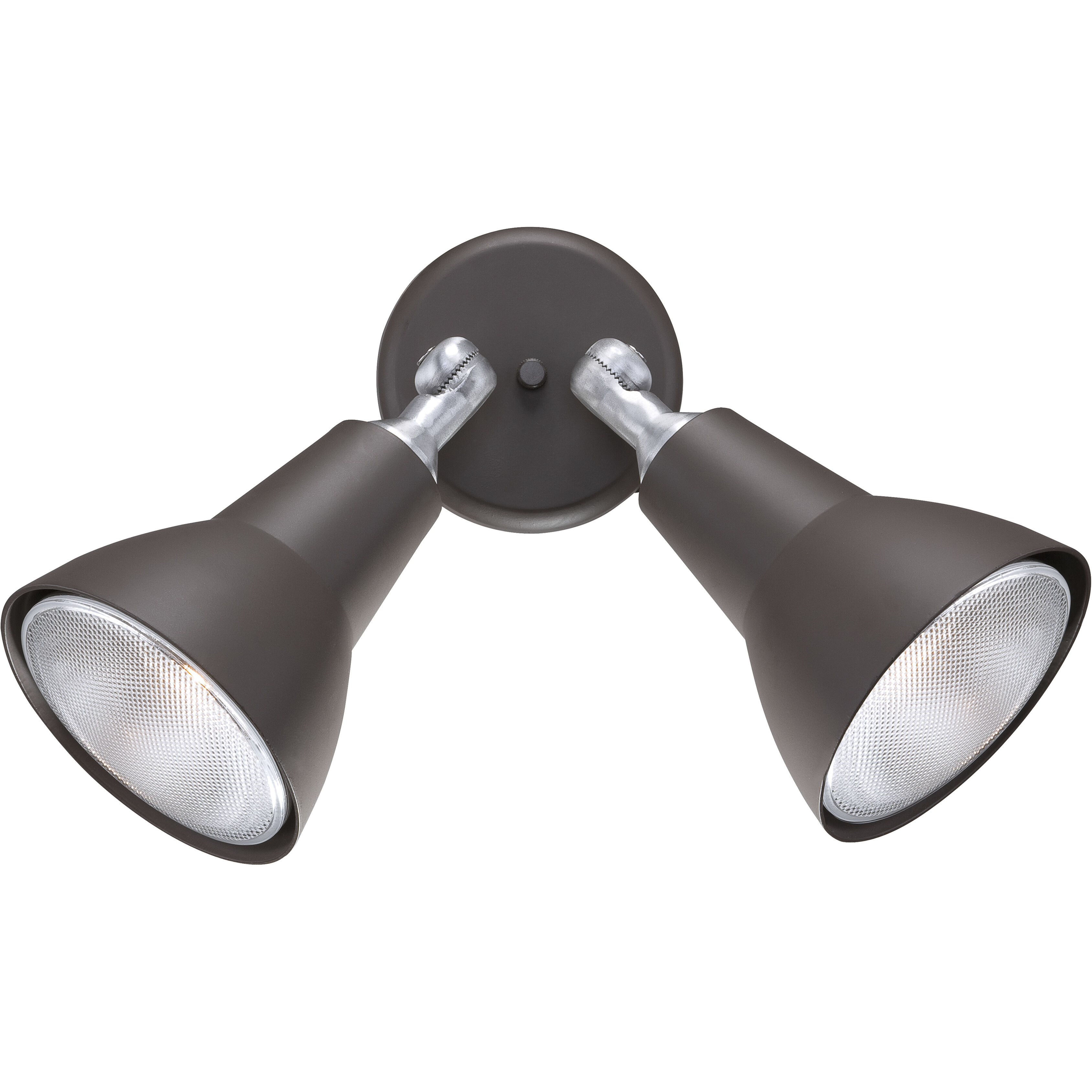 Daley 2 Light 11 inch Black Outdoor Wall Sconce
