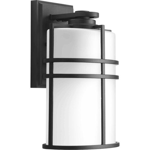 Format 1 Light 12 inch Textured Black Outdoor Wall Lantern, Medium