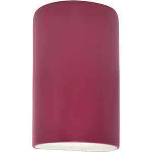 Ambiance Collection LED 12.5 inch Cerise Outdoor Wall Sconce