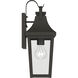 Cleary 1 Light 16 inch Olde Bronze Outdoor Wall Light