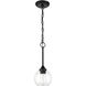 Glenda 1 Light 6 inch Flat Black Mini Pendant Ceiling Light