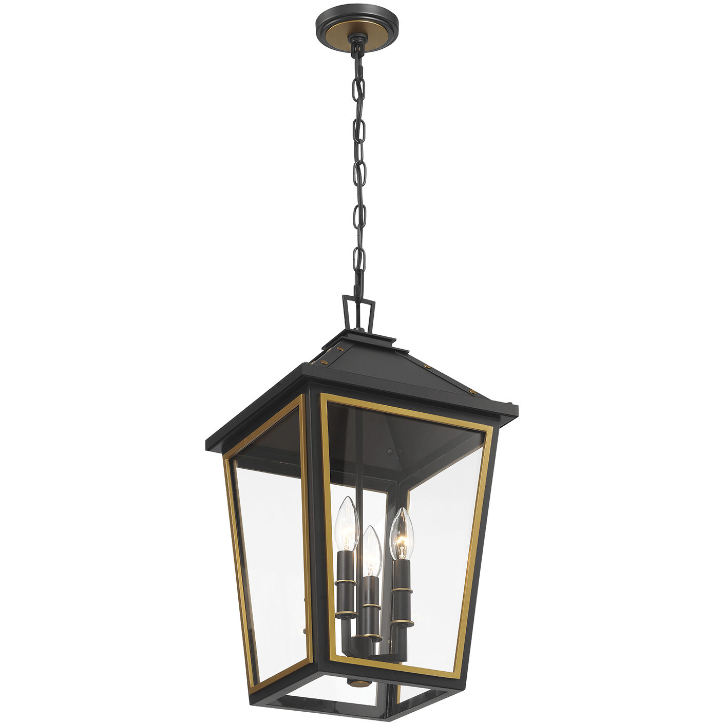 Hawkins 4 Light 12 inch Matte Black and Textured Gold Outdoor Pendant