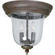 Ashmore 2 Light 11 inch Cobblestone Outdoor Ceiling Mount