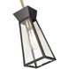 Lucian LED 5 inch Black and Brushed Brass Pendant Ceiling Light