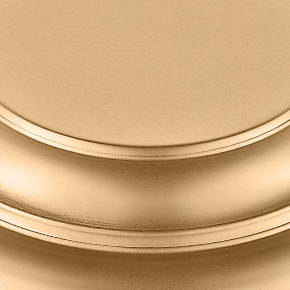 Ziva Spectrum Pendant Ceiling Light