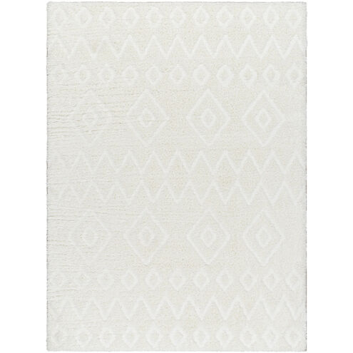 Nomadic 84 X 63 inch Rug