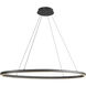 Ovale LED 40 inch Black Linear Pendant Ceiling Light